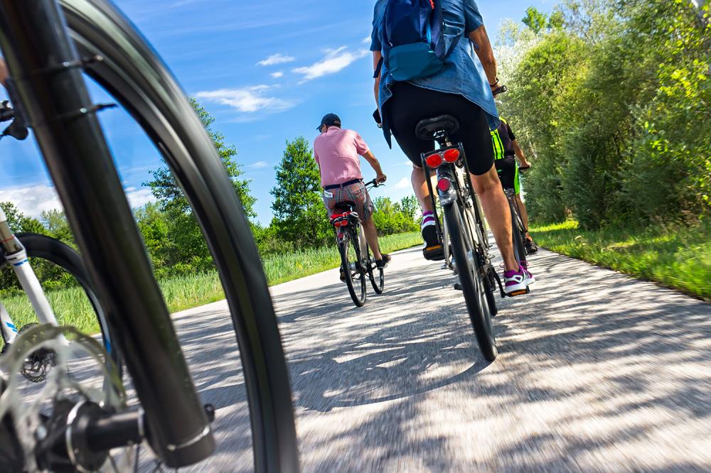 location-de-velo